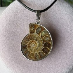 Natural Ammonite Necklace 16-18 In 