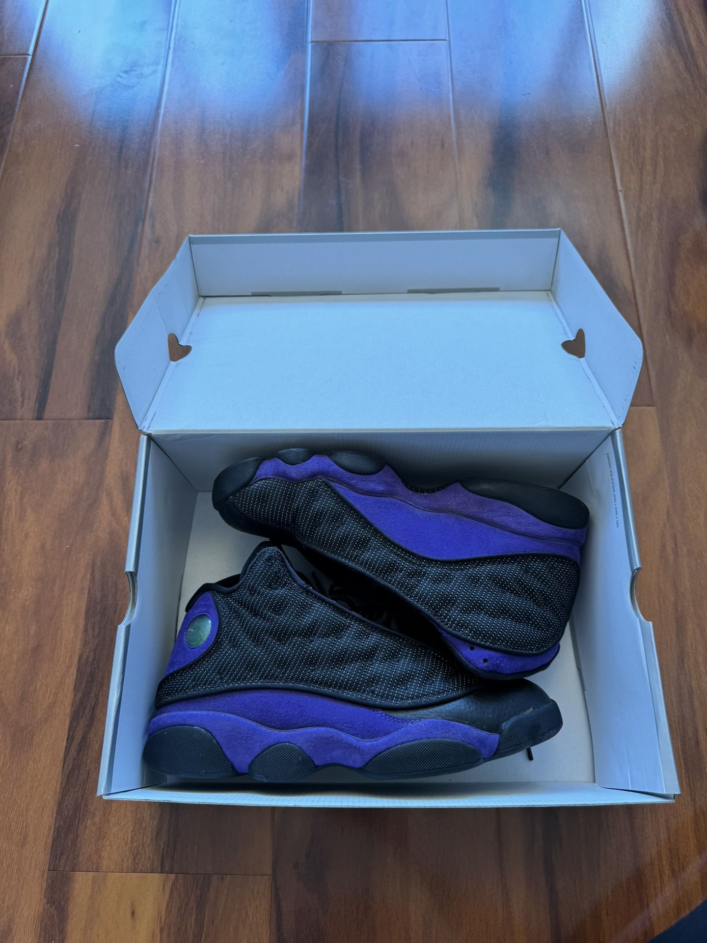 Jordan 12 Court Purple