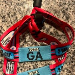 Saturday Wristbands Innings Festival 
