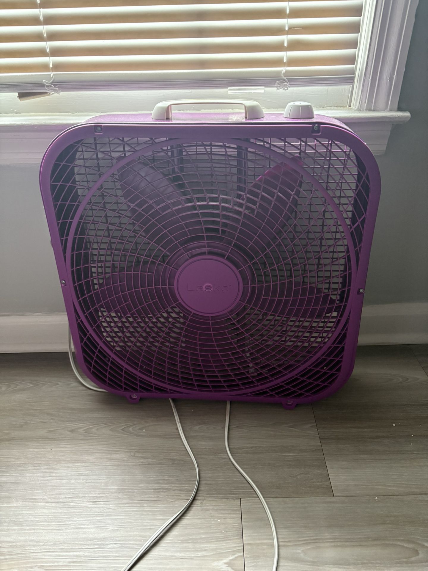 Fan