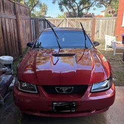 2000 Ford Mustang