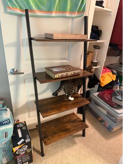 Ladder Bookshelf