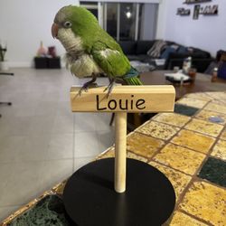 PERSONALIZED BIRD STAND