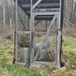Chicken Coop