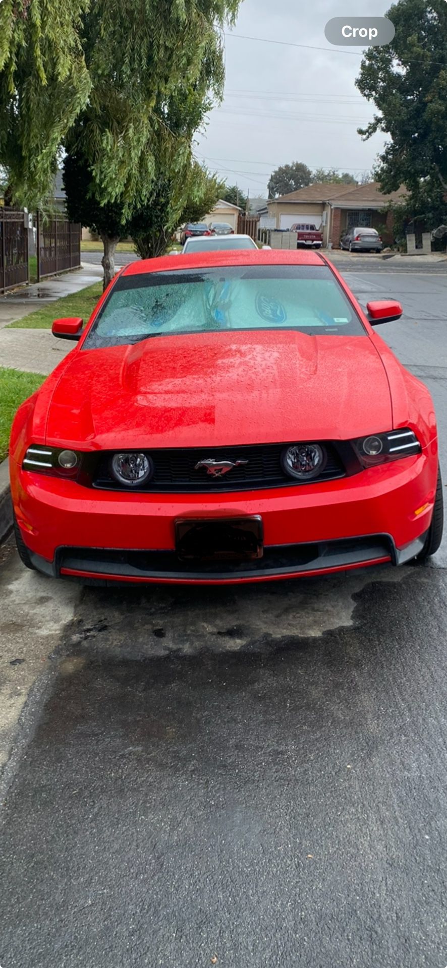 2013-14 Mustang Gt Headlights With Custom Led And Demon LED