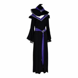 Witch Adult Women’s Halloween Costume.Size Large *Dress *Hat.