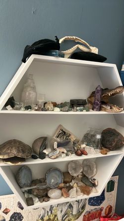 Minerals and gems all authentic