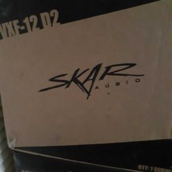 12 Inch Subwoofers V×F 12s D2