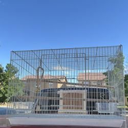 Bird Cage 