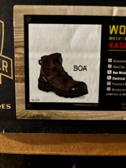 Irish setter  work  11 men