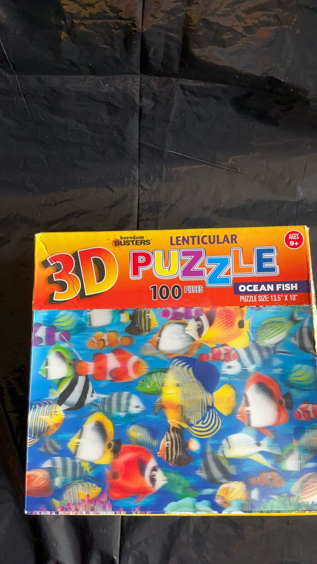 Puzzle 3 D 100 Piece Open Box