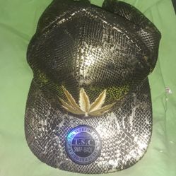 SnapBack Hat 