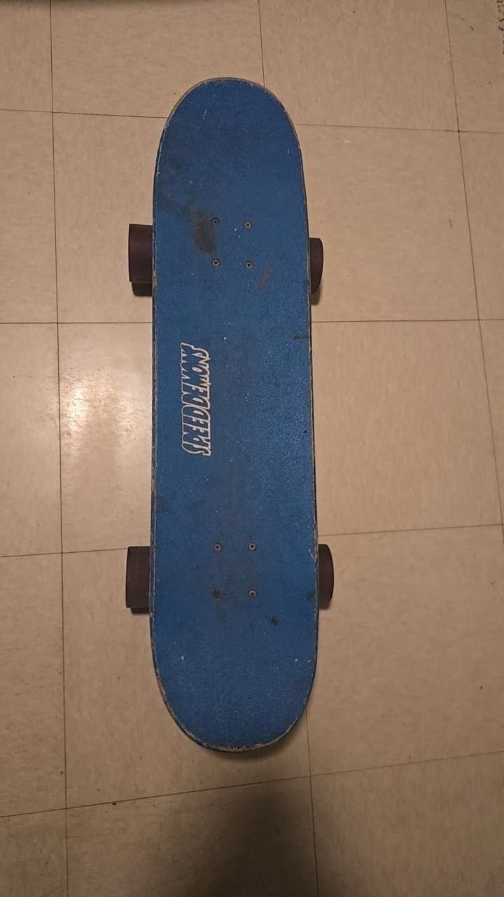 Skate Board