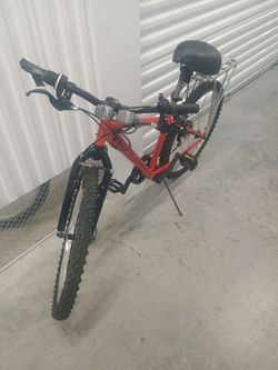 Mountain Bike (24')