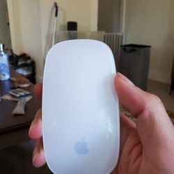 Apple Mouse (older model) 