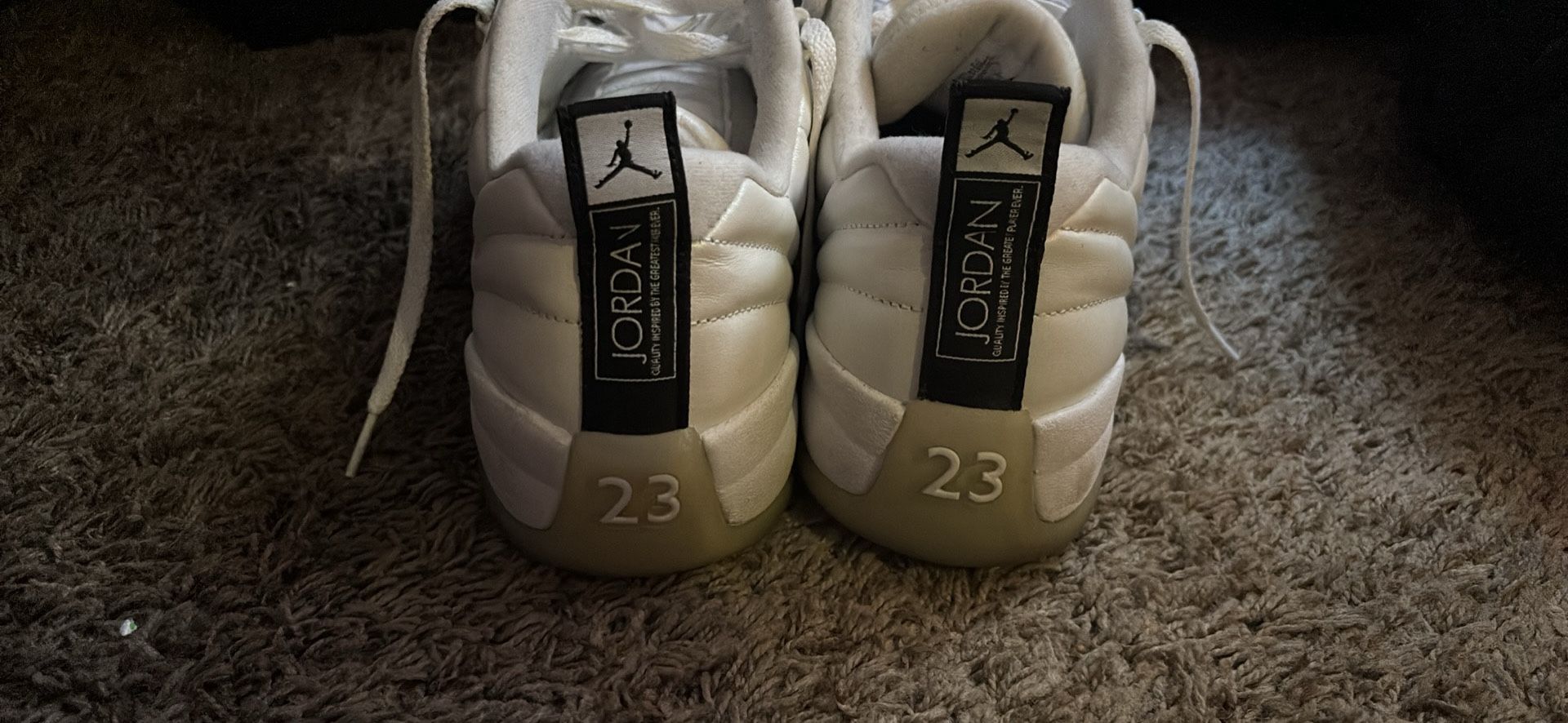 Jordan 12 Retro Low