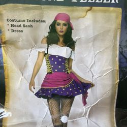 Fortune Teller Costume 
