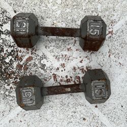 15 Lb Dumbbell Pair 