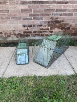 Pair of Single Door Live Animal Traps