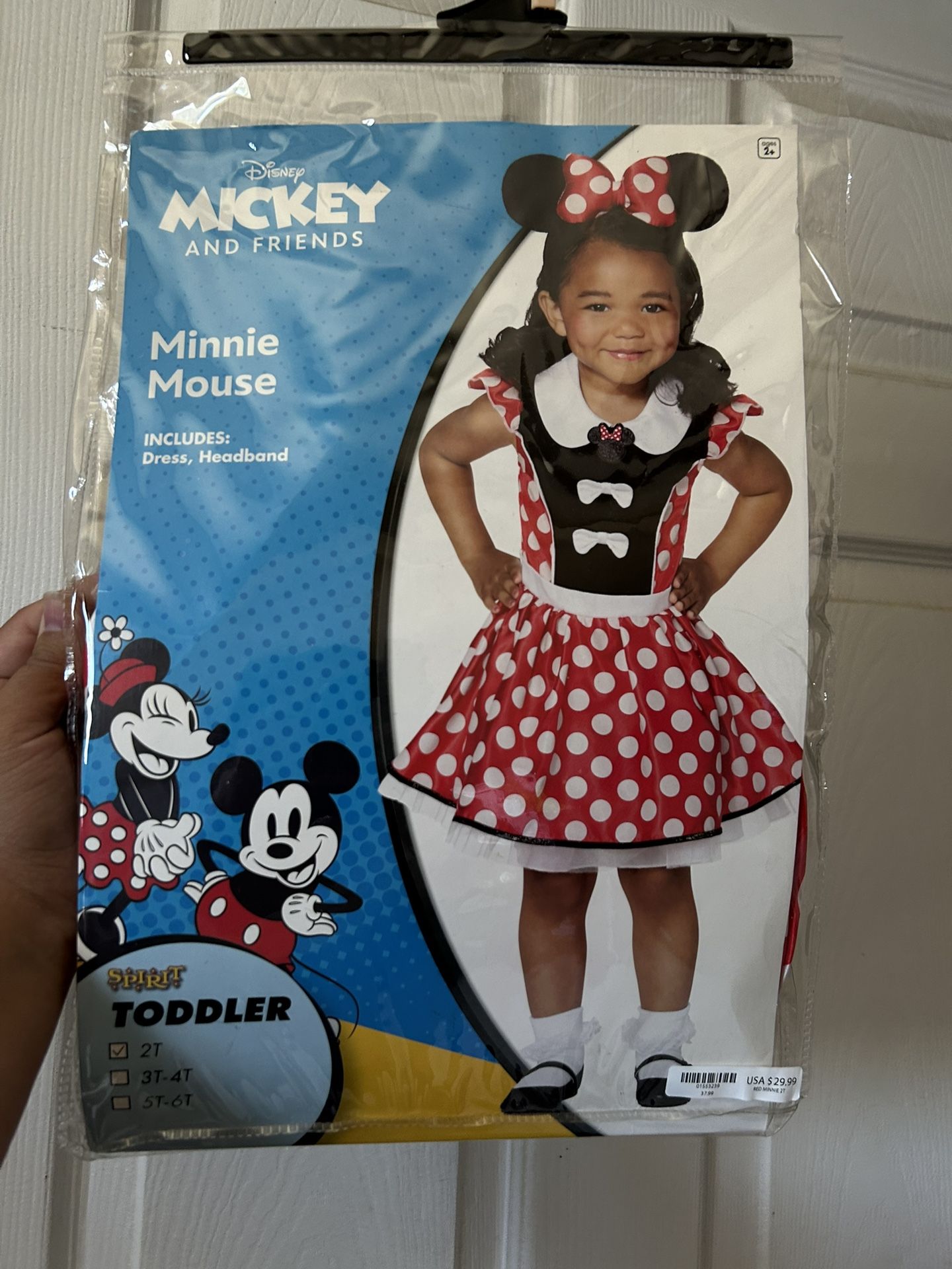 Minnie Mouse Costume