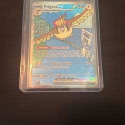 Pidgeot Ex