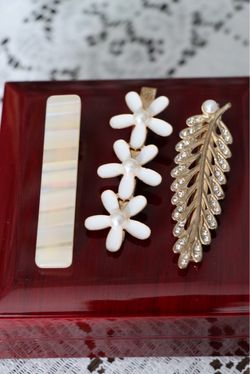 Decorative Hair Clip Set of 3