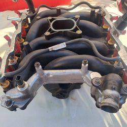 Ford Mustang Intake Manifold With MSD Coils