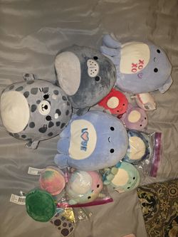 Sea Life Squishmallows Lot — Zobey Octopus, Isis Seal and More, eleven total