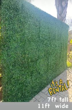 Greenery wall