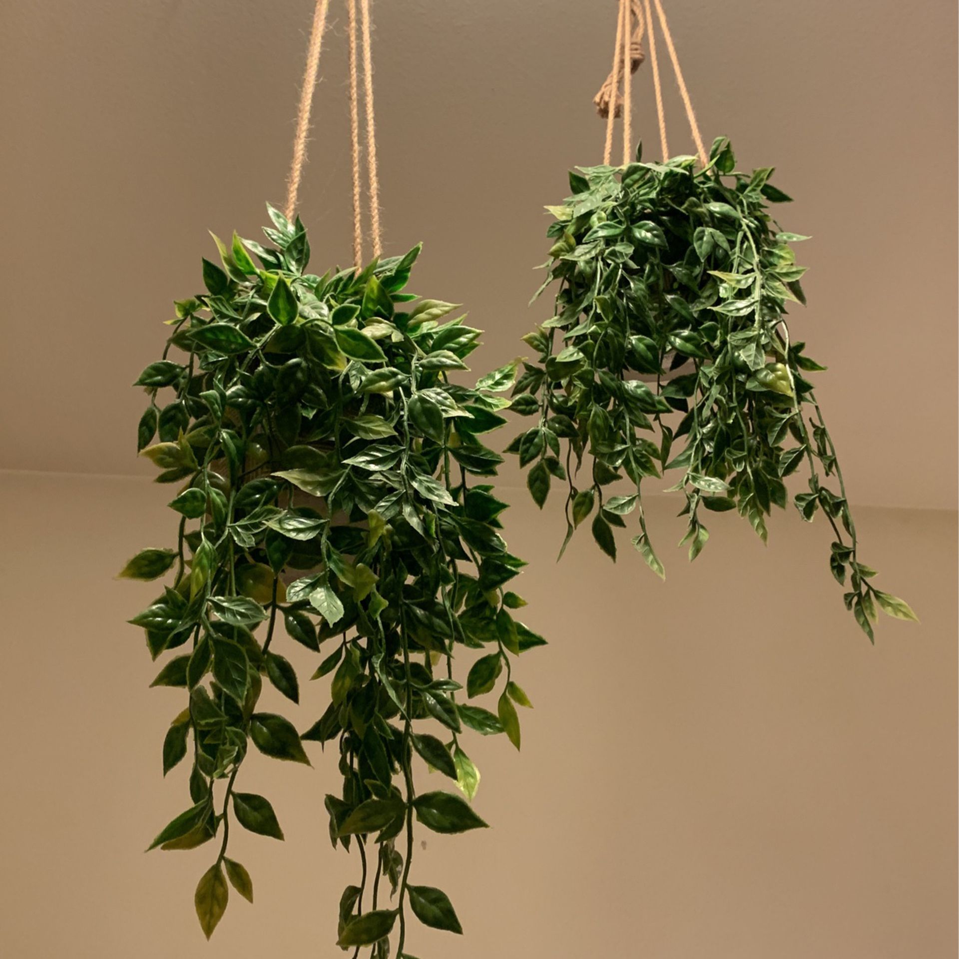 Fake hanging plants!