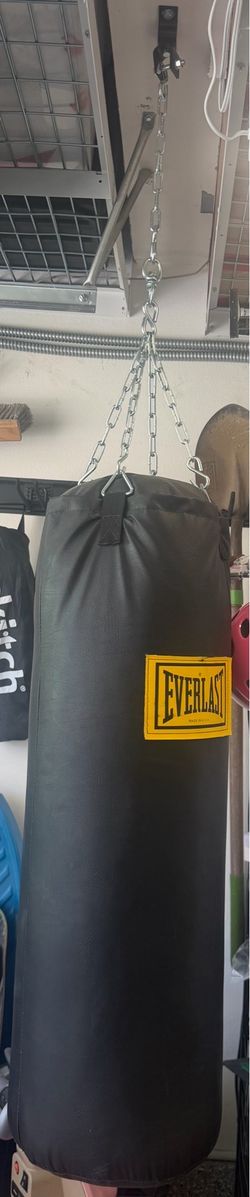 Everlast Punching Bag