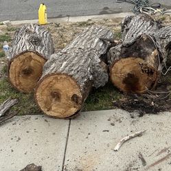 Free Firewood