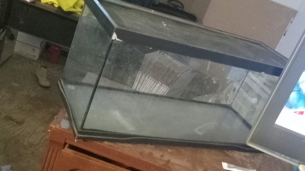 Fish Tank