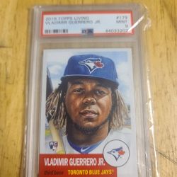 Vladimir Guerrero Jr 