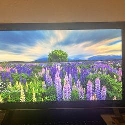 HP flat Screen Desktop Computer