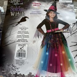 Spider Witch Costume 