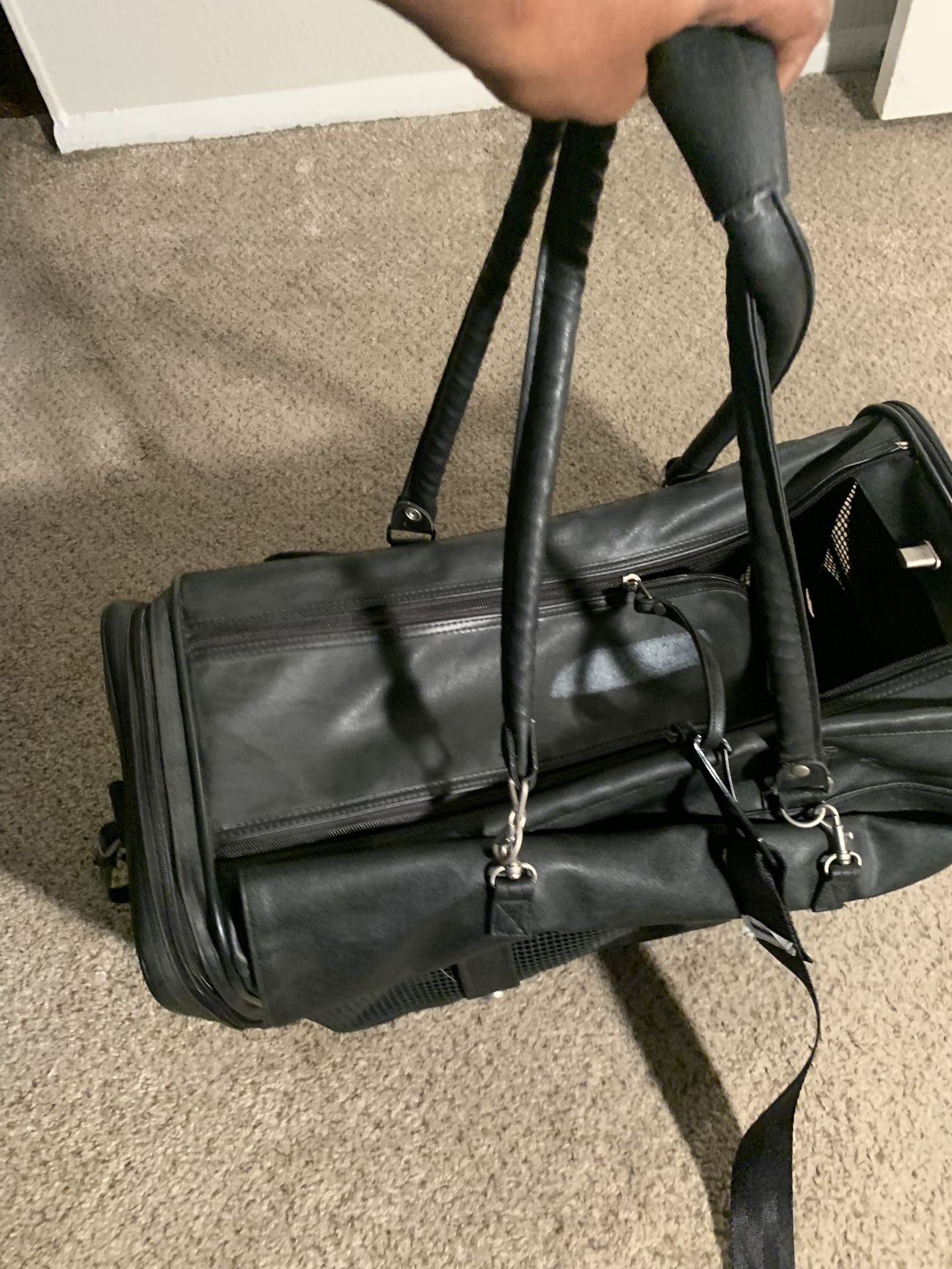 Mutli-functional rolling cat carrier