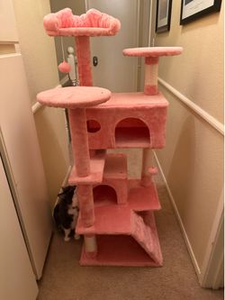 Cat Tree