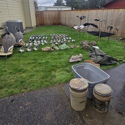 Duck And Goose Decoys