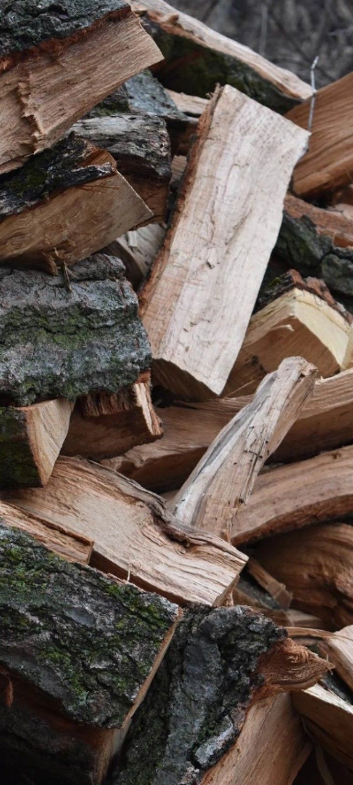 Firewood