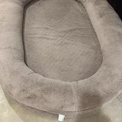 Human Dog Bed