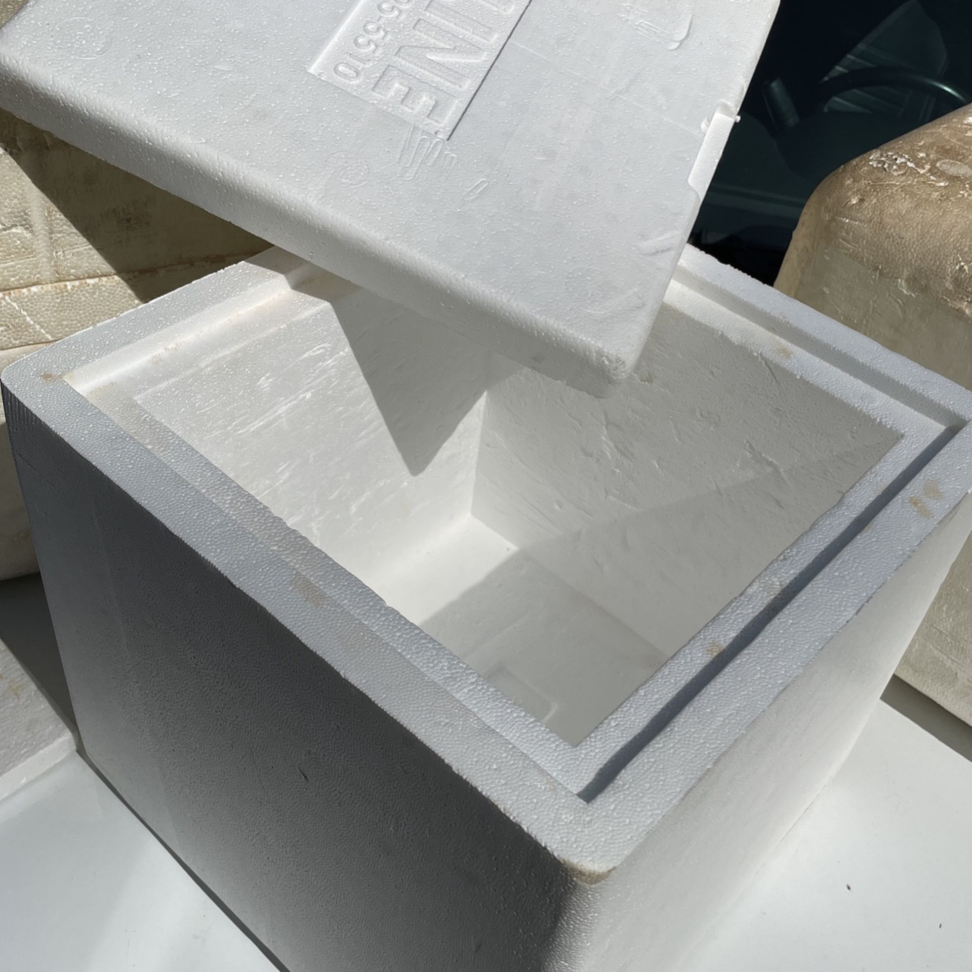 Styrofoam Cooler Thick Walled for Sale in Edmonds, WA OfferUp