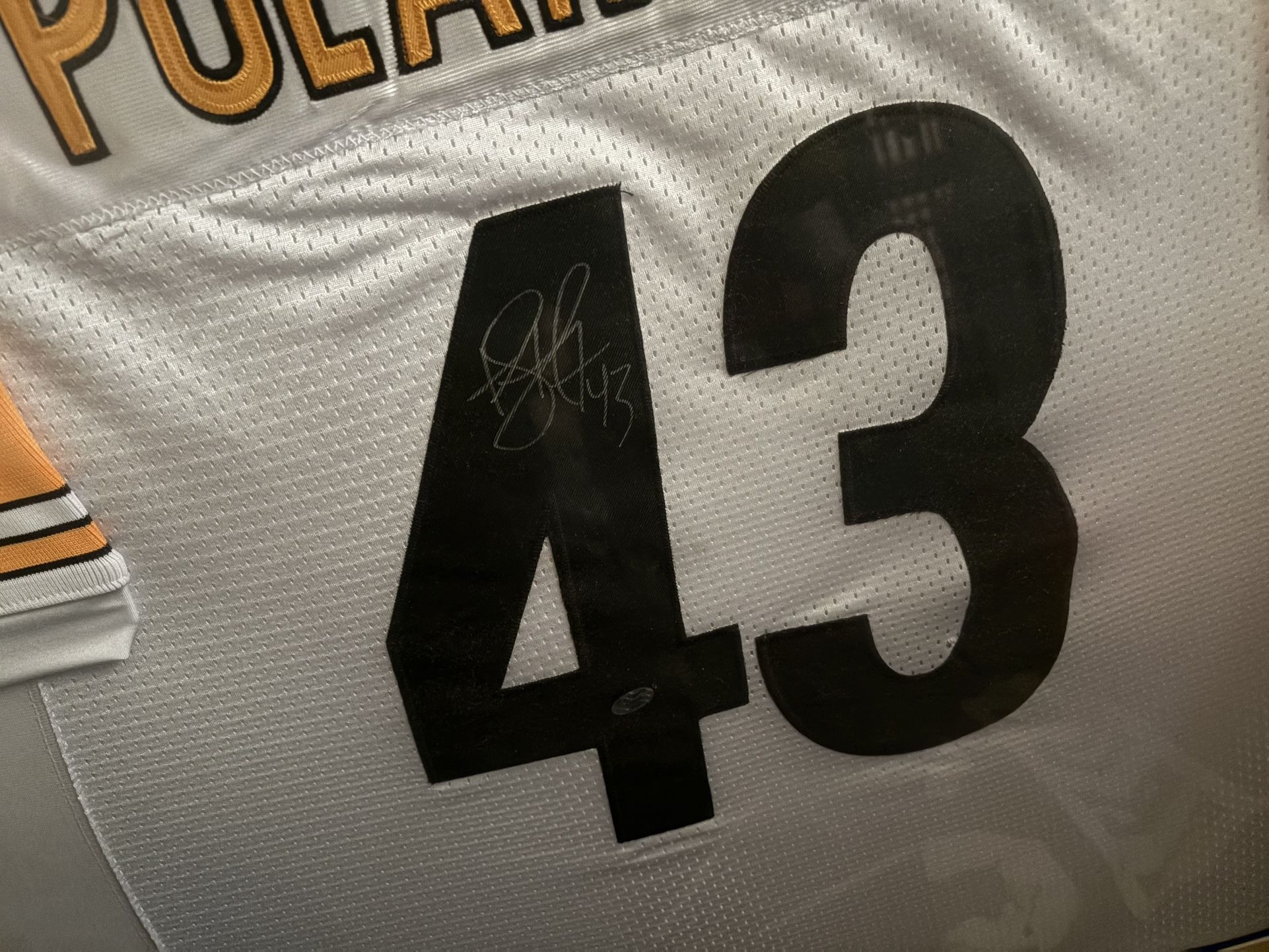 Troy Polamalu