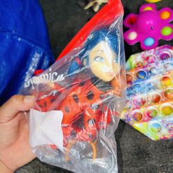 Lady Bug 🐞 & Accessories 