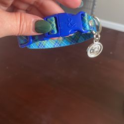 Small Pet Collar, Like New.