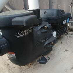 Hayward TriStar variable-speed pool pump with a 1.85 THP motor.