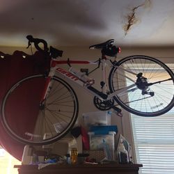 Bici