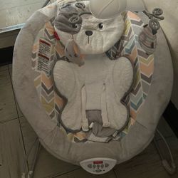 Baby Bouncer