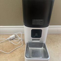 Dog Feeder, Bowls, and Mats