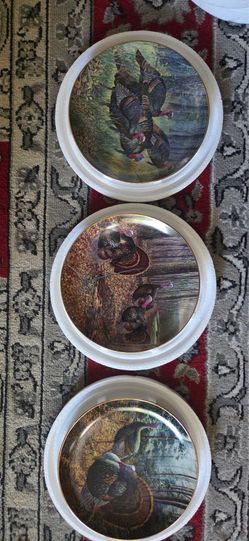 Turkey Trot Collector Plates